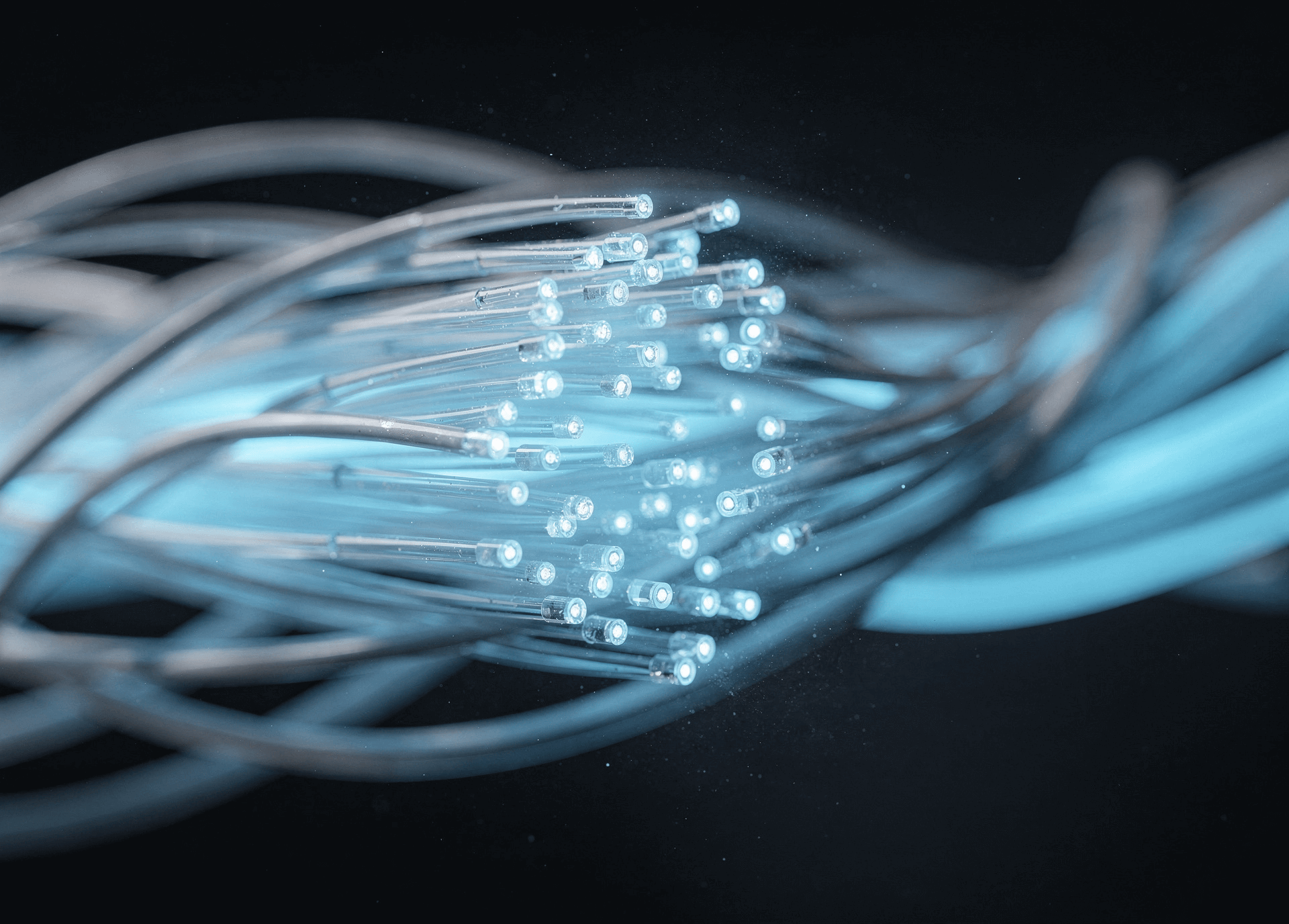 Macro close-up of glowing blue fiber optic cables representing high-speed business internet and data connectivity.